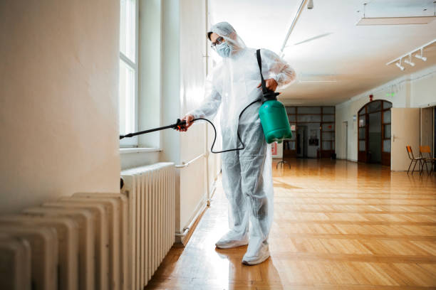 Best Indoor Pest Control  in Peoria Heights, IL